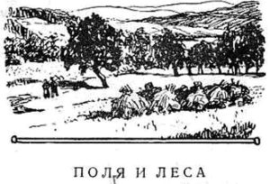 обложка книги Поля и леса - Иван Вазов