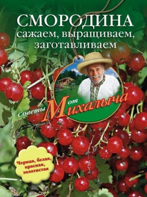 обложка книги Помидоры, огурцы. Сажаем, выращиваем, заготавливаем - Николай Звонарев