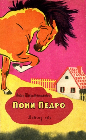 обложка книги Пони Педро - Эрвин Штритматтер