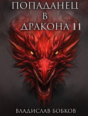 обложка книги Попаданец в Дракона 11 (СИ) - Владислав Бобков