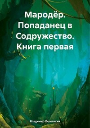 обложка книги Попаданец в Содружество (СИ) - Владимир Поселягин