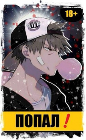 обложка книги Попал! Том 1 и Том 2 (СИ) - Извращённый отшельник