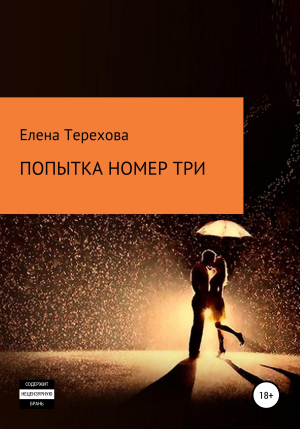 обложка книги Попытка номер три - Елена Терехова