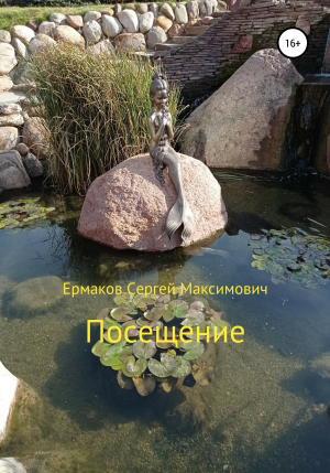 обложка книги Посещение - Сергей Ермаков