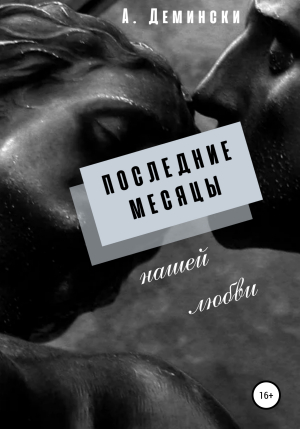 обложка книги Последние месяцы нашей любви - Айван Демински