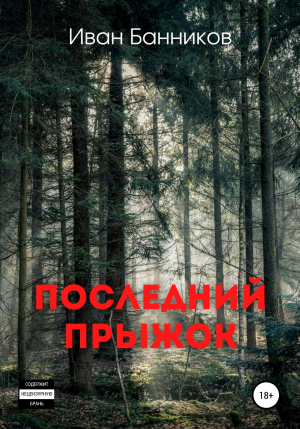обложка книги Последний прыжок - Иван Банников