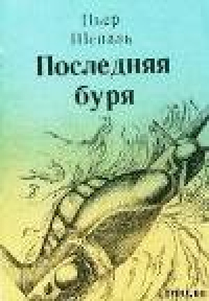 обложка книги Последняя буря - Пьер Шеналь