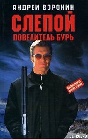 обложка книги Повелитель бурь - Андрей Воронин