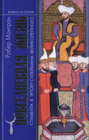 обложка книги Повседневная жизнь Стамбула в эпоху Сулеймана Великолепного - Робер Мантран