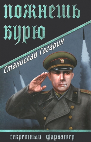 обложка книги Пожнешь бурю - Станислав Гагарин
