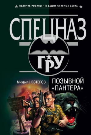 обложка книги Позывной «Пантера» - Михаил Нестеров