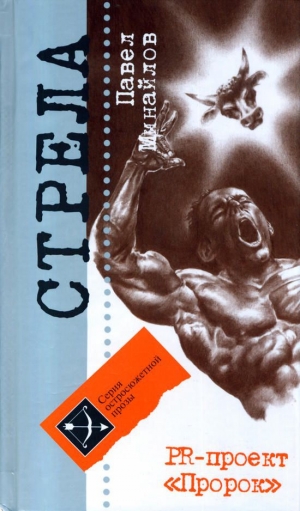 обложка книги PR-проект «Пророк»  - Павел Минайлов