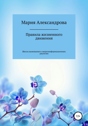 обложка книги Правила жизненного движения, или школа выживания в энергоинформационных джунглях - Мария Александрова