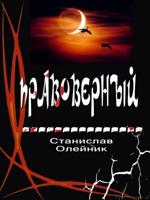 обложка книги Правоверный - Станислав Олейник