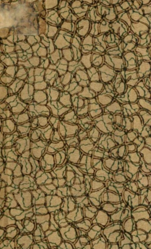 обложка книги Прикладная тактика. Выпуск 1 - Генрих Леер