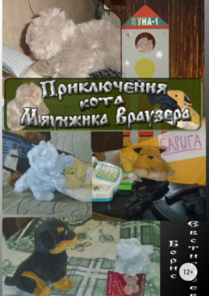 обложка книги Приключения кота Мяунжика Враузера - Борис Евстигнеев