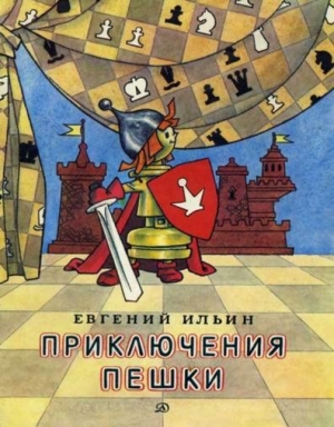 обложка книги Приключения пешки - Евгений Ильин