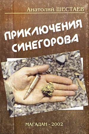 обложка книги Приключения Синегорова - Анатолий Шестаев
