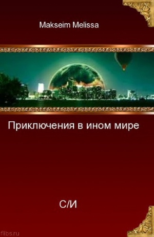 обложка книги Приключения в ином мире (СИ) - Максим Бровенко