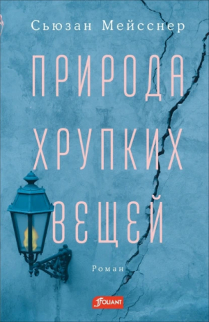 обложка книги Природа хрупких вещей - Сьюзан Мейсснер