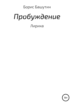 обложка книги Пробуждение - Борис Башутин