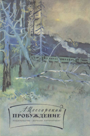 обложка книги Пробуждение - Альберт Цессарский