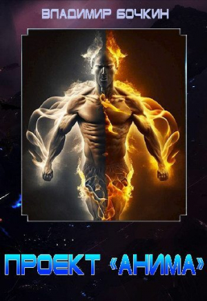 обложка книги Проект «Анима» (СИ) - Владимир Бочкин