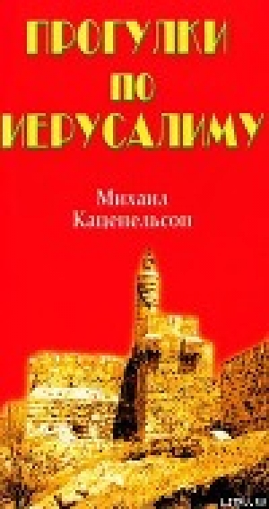 обложка книги Прогулки по Иерусалиму - Михаил Каценельсон