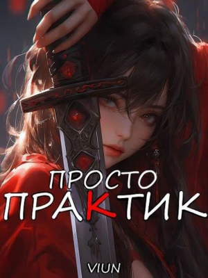 обложка книги Просто практик (СИ) - Вьюн