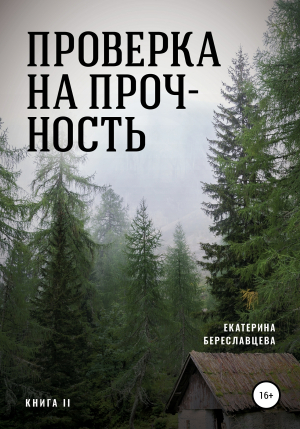 обложка книги Проверка на прочность - Екатерина Береславцева