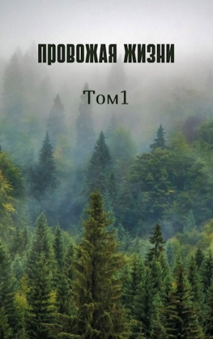 обложка книги Провожая жизни. Том 1 (СИ) - Loki