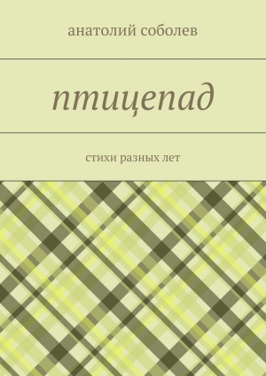 обложка книги птицепад - анатолий соболев