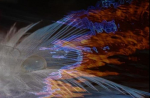 обложка книги Птицы и чёрт-те что (СИ) - Игорь Козлов