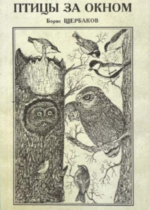 обложка книги Птицы за окном (Пособие по птицам населенных пунктов Восточного Казахстана) - Борис Щербаков