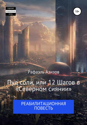 обложка книги Пуд соли, или 12 Шагов в «Северном сиянии» - Рафаэль Азизов
