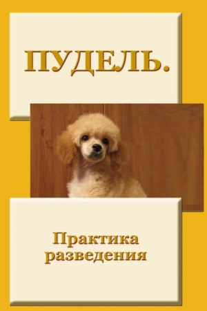 обложка книги Пудель - Илья Мельников
