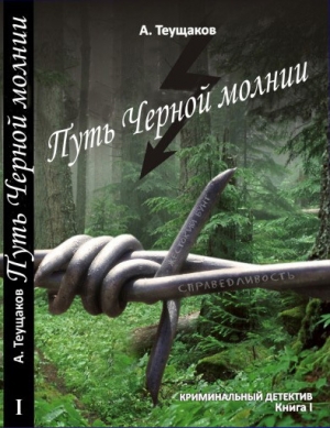 обложка книги Путь "Чёрной молнии" - Александр Теущаков