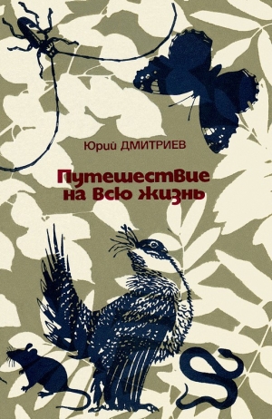 обложка книги Путешествие на всю жизнь - Юрий Дмитриев