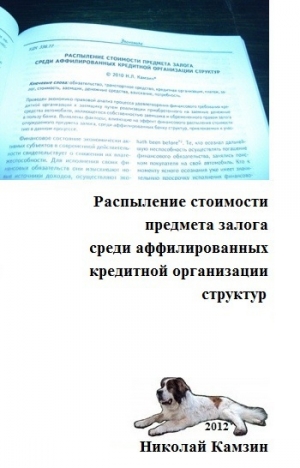 обложка книги Распыление стоимости предмета залога среди аффилированных кредитной организации структур - Николай Камзин