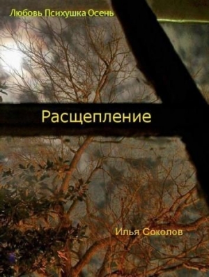 обложка книги Расщепление - Илья Соколов
