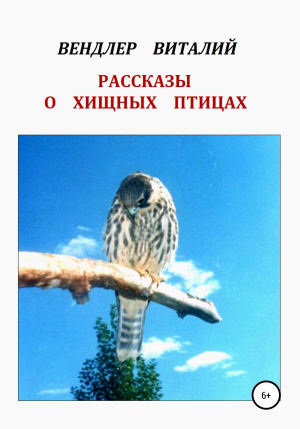 обложка книги Рассказы о хищных птицах - Виталий Вендлер
