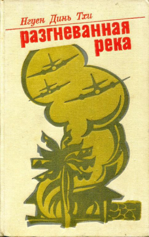 обложка книги Разгневанная река - Нгуен Динь Тхи