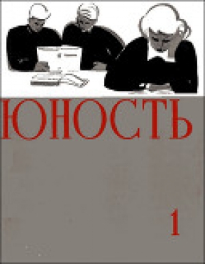 обложка книги Разная смелость - Анатолий Аграновский