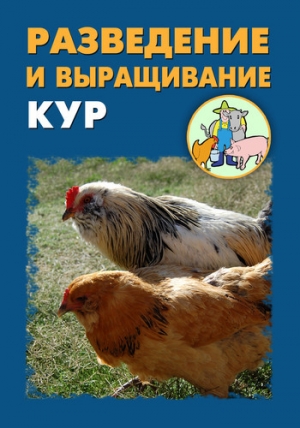 обложка книги Разведение и выращивание кур - Илья Мельников