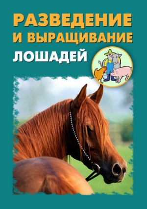 обложка книги Разведение и выращивание лошадей - Илья Мельников