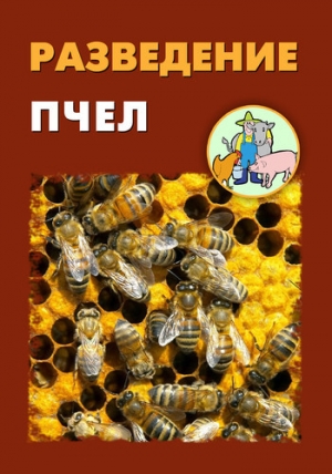 обложка книги Разведение пчел - Илья Мельников