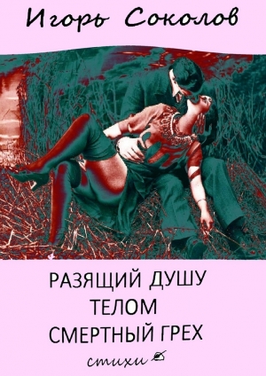 обложка книги Разящий душу телом смертный грех - Игорь Соколов