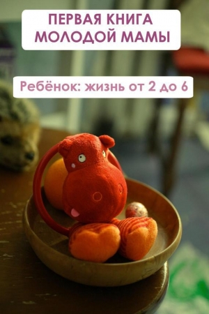 обложка книги Ребёнок: жизнь от двух до 6 - Илья Мельников