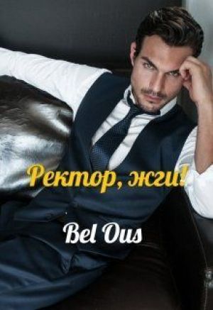 обложка книги Ректор, жги! (СИ) - Bel Ous