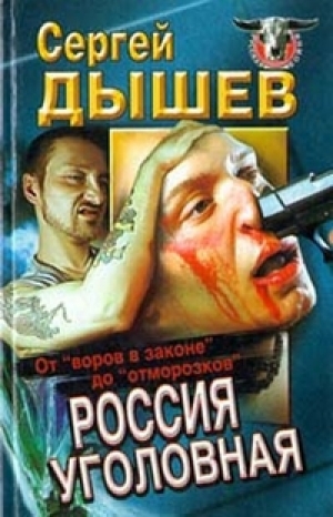 обложка книги Россия уголовная. От 